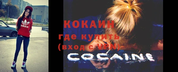 дживик Гусь-Хрустальный