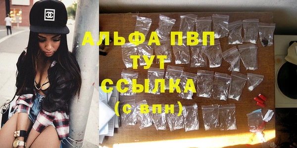 СК Абинск
