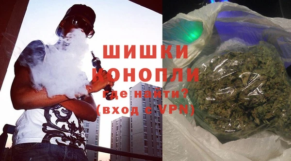 сатива Гусев