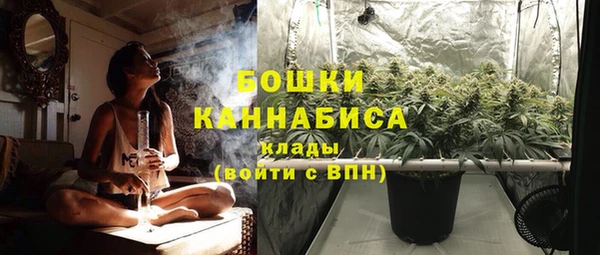трава Абаза