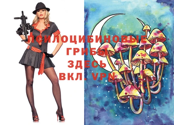 трава Абаза
