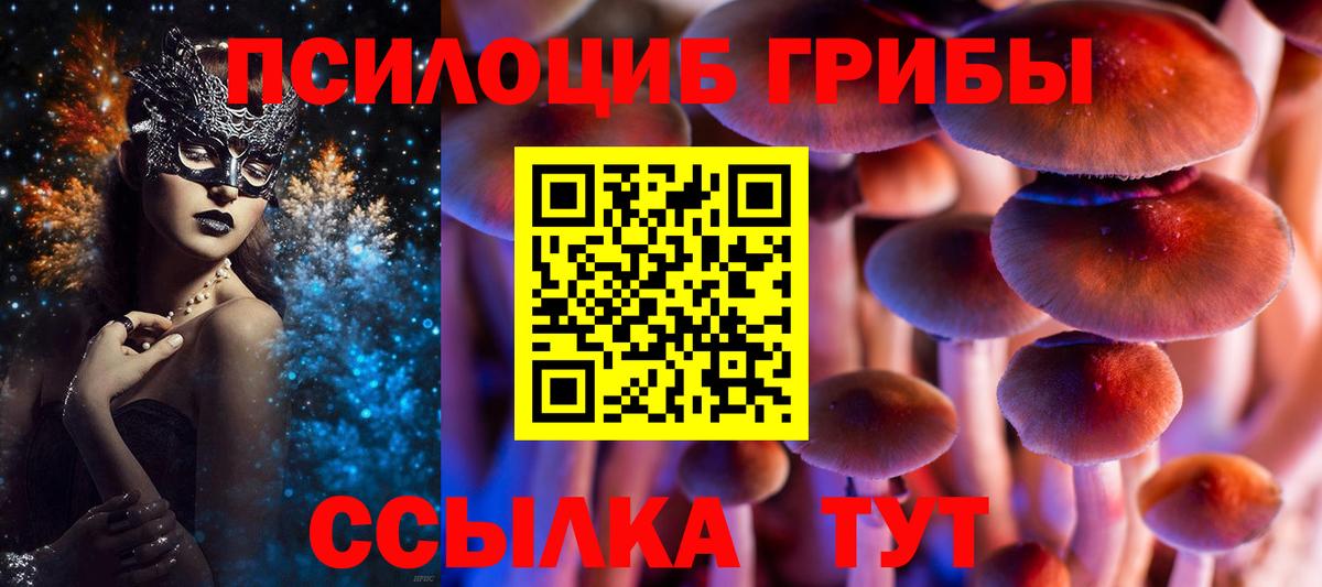 Советская Гавань  Псилоцибиновые грибы MAGIC MUSHROOMS  Вход с VPN  Галлюциногенные грибы Magic Shrooms 