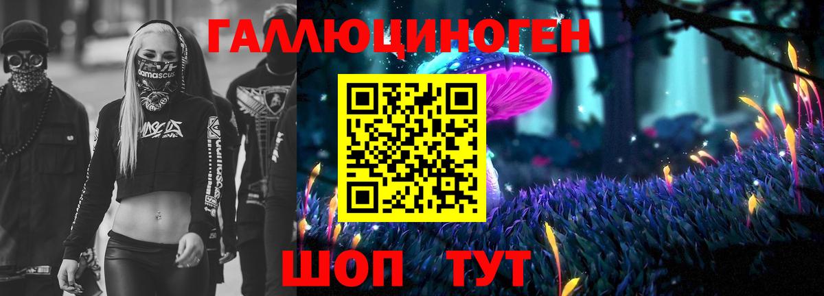 Галлюциногенные грибы мухоморы Советская Гавань